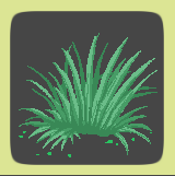 Grass